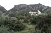 Beautiful Villa in Secluded Area Beautiful Villa in Secluded Area